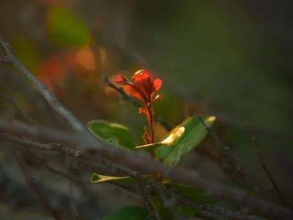 Everlight: 20 Minutes Of Positive, Encouraging Ambient Music