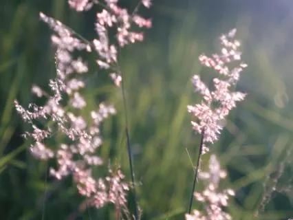Warm, Encouraging Ambient Music For Prayer And Reflection