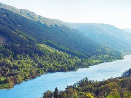 Every Living Creature