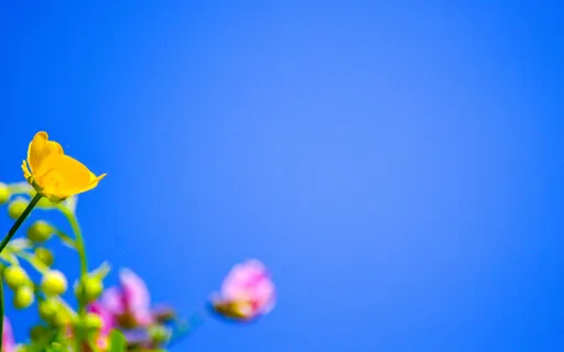 Every Moment Is A New Beginning