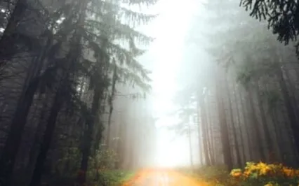 Every Pathway Is Light