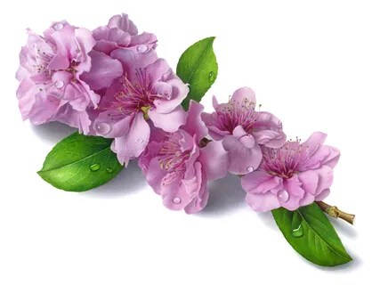 Every Season Magical Piano