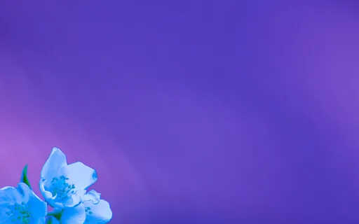 Every Single Moment Is A New Beginning