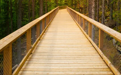 Every Version Of You