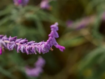 Everyday Ease: Gentle Joint Circles