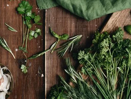 Everyday Herbs With Extraordinary Magic