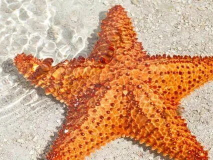 Everyday Magic For Ukraine | #116 | Our Sanctity