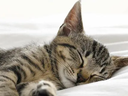 Everyday Magic For Ukraine | #149 | Moments To Rest