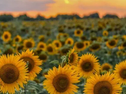 Everyday Magic For Ukraine | #154 | Strength For Defenders