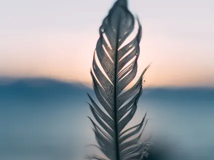 Everyday Mindfulness Show: Elegance Of Simplicity With Sophie McLean