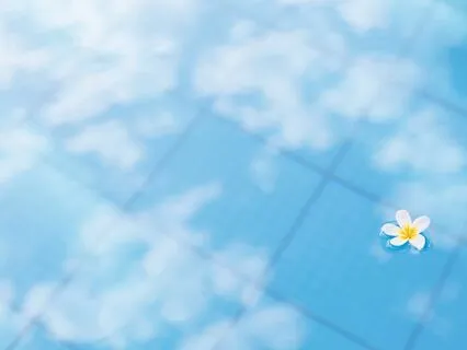 Everyday Mindfulness - Gratitude Snapshot