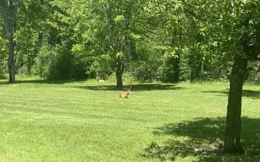 Everyday Mindfulness