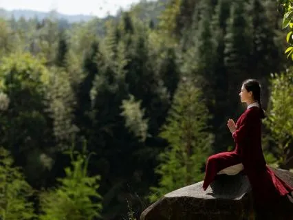 Everyday Wisdom : Insights From The Bhagavad Gita