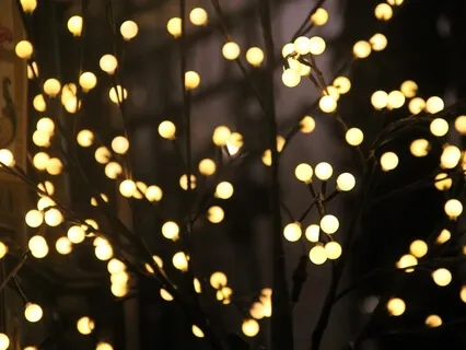 Everyone is Connected Meditation