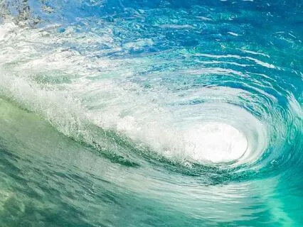 Everything Can Be Transformed—Nothing Is Permanent