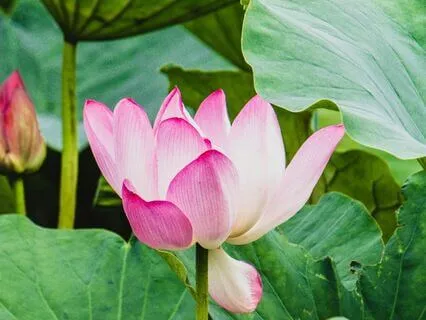 Everything Changes And That's Okay