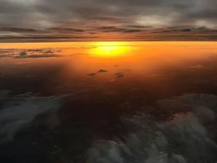 Everything Falls Into Place