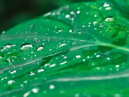 Everything Gon' Be Alright – Embracing Hope And Faith