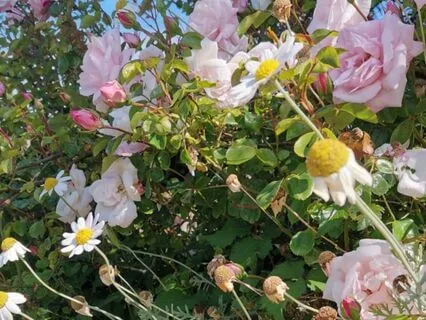 Everything Is A Metaphor Including Plastic