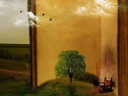 Everything Is A Story: Showing Illusion & Embracing Freedom