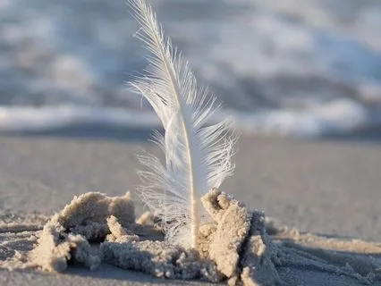 Everything Is Always Working Out For Me