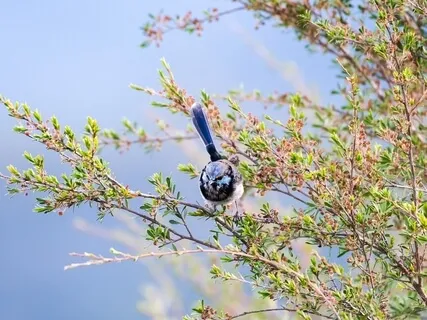 Everything Is Holy, Sacred, Pure