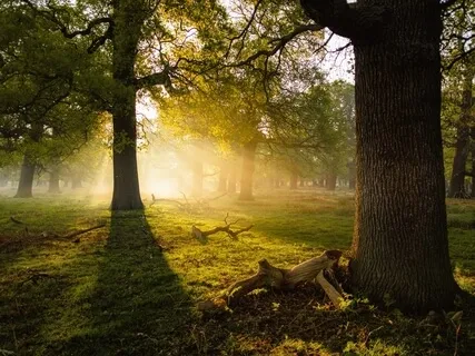Everything Is Music  - A Sound Bath