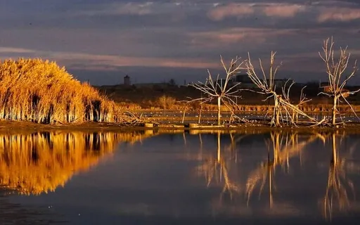 Everything Is Waiting For You - David Whyte