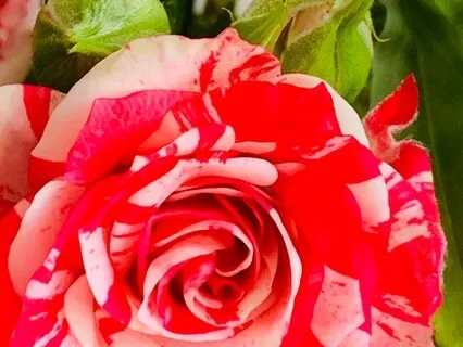 Everything Is Working In My Favor Affirmation