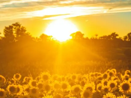 Everything Is Working Out 3-Min Motivation Meditation