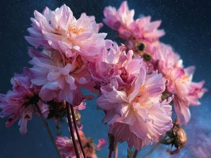 Everything Is Working Out For Me, Deep Sleep, Long Version