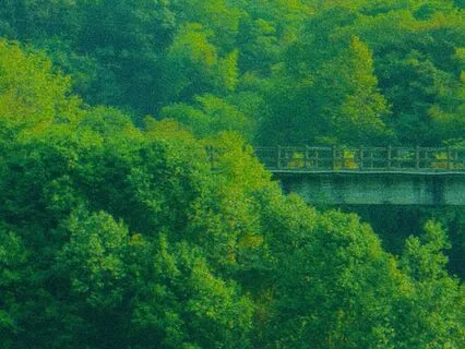 Everything's Fine - Short Ambient Session For Stress Relief