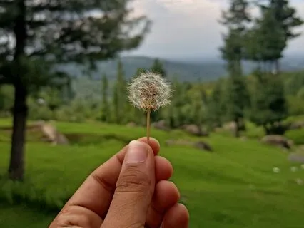 Everything Will Get Better