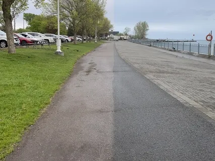 Everything Turns To Light