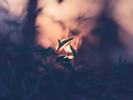 Everything Will Be Okay - A Lullaby