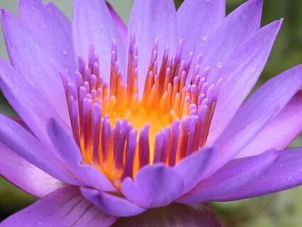 Everything You Need Is Here