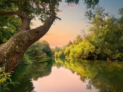 Everything You Want, Wants You Even More! 369 Hz Tuning Fork