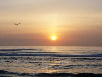 In Every Leaf A Universe, In Every Verse A Unity