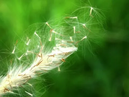 Everywhere I Go There You Are | Comforting LoFi Piano Beats