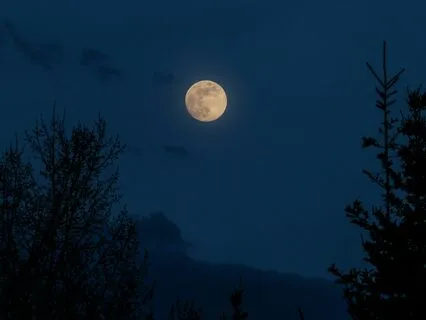 Evie & The Sleepy Treehouse Sleep Story