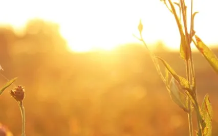 Evoking Possibility Through Embodied  Movement