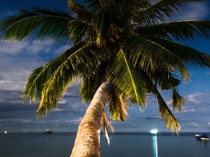 Evolution Of Yourself: Reframing Self Doubt