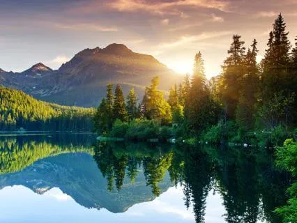 Evolutionary Power Structures