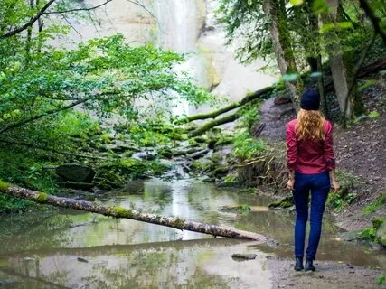 Evolving Towards Purpose