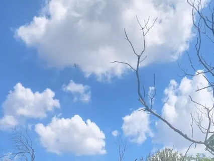 Evolving With Your Self-Care Needs