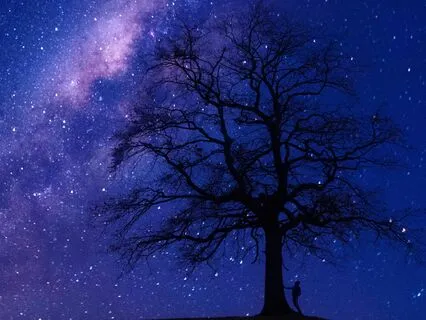 Exam Anxiety Sleep Meditation