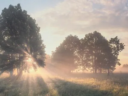 Examine Your Habits: Oracle Message From Spirit