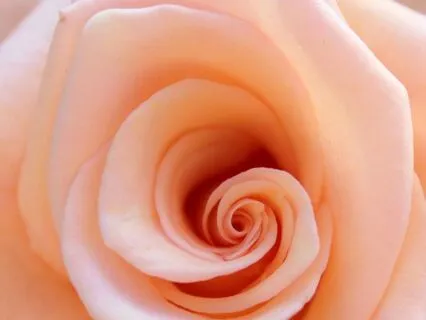 Excellent For Morning Meditation: Unlock Season Of Success!