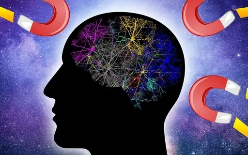 Executive Functioning Skills (Intro) | Live Recording