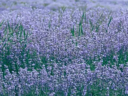 Exercise For Simply Noticing Thoughts And Feelings